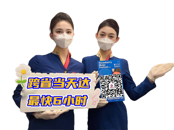 湖南空运西安机场